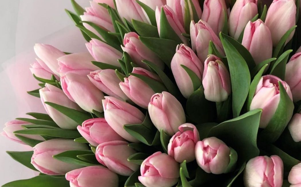 Міжнародний жіночий день або День боротьби за права жінок