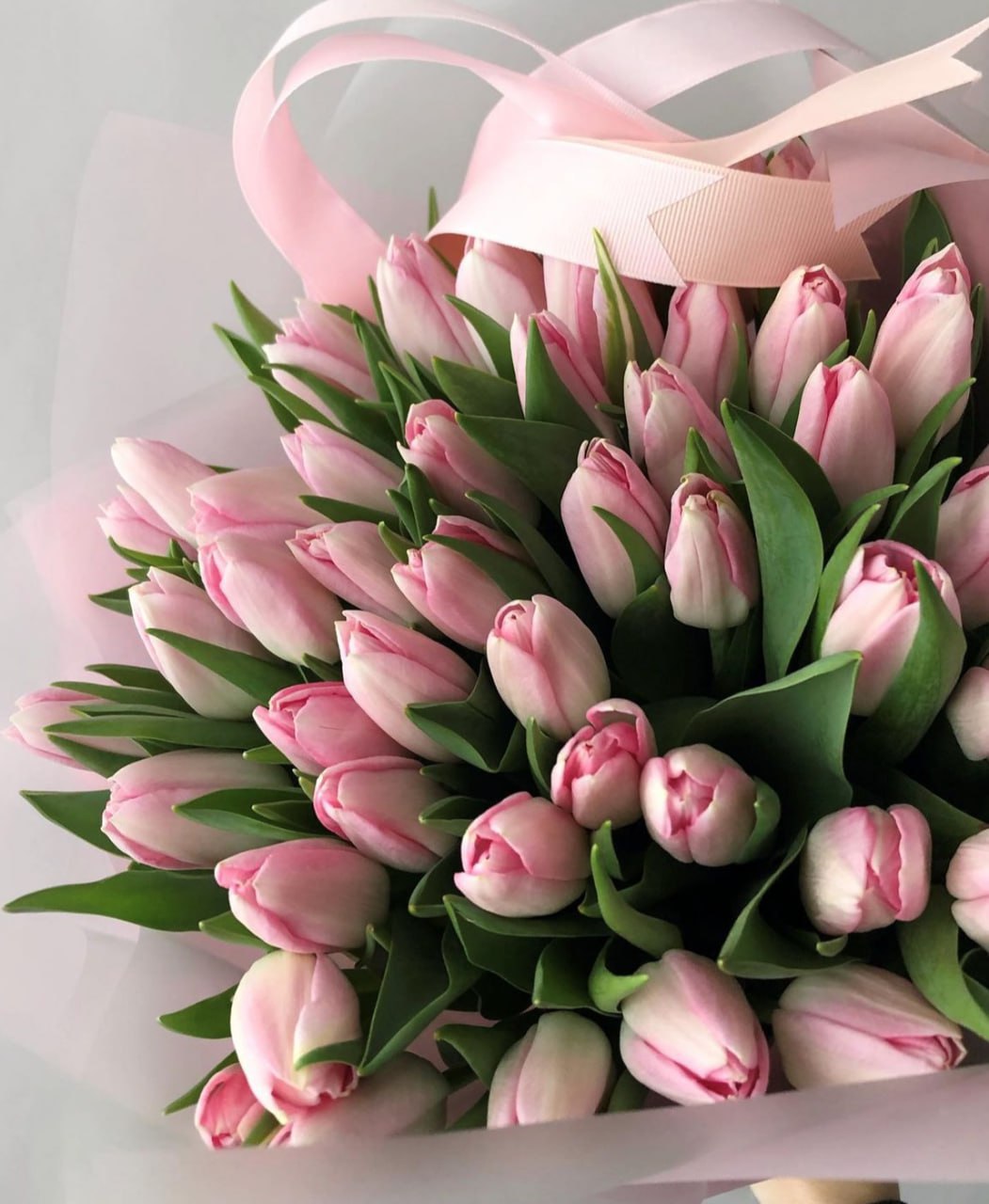 Міжнародний жіночий день або День боротьби за права жінок